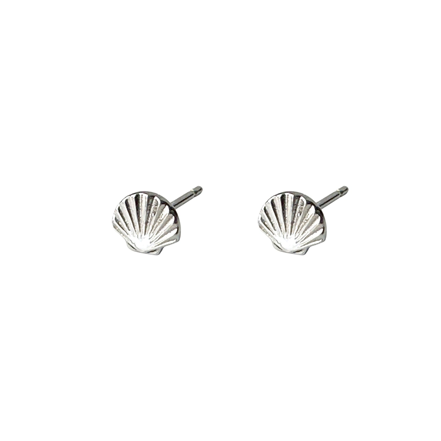 Shell stud earrings. Titanium Studs minimal shown on a white background