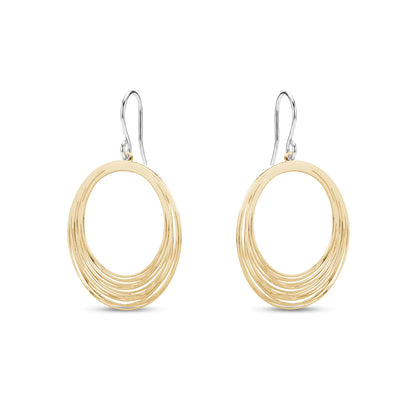 Gold titanium hoop earrings on a white background