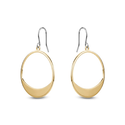 Gold titanium hoop earrings on a white background