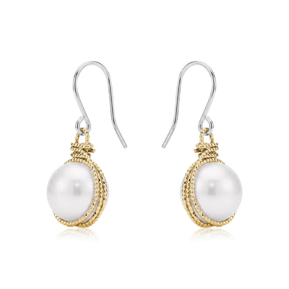 Gold caged pearl earring a titanium hook on a white backgroundearrings on a white background 