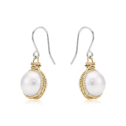 Gold caged pearl earring a titanium hook on a white backgroundearrings on a white background 