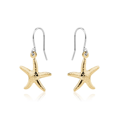 Starfish Charm earrings titanium on a white background
