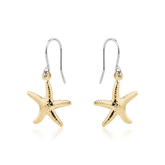 Starfish Charm earrings titanium on a white background
