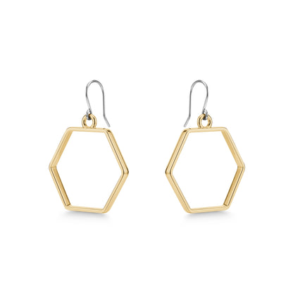 Hexagon hoop polygon drop earrings with a titanium hook on a white background