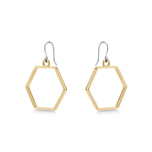 Hexagon hoop polygon drop earrings with a titanium hook on a white background