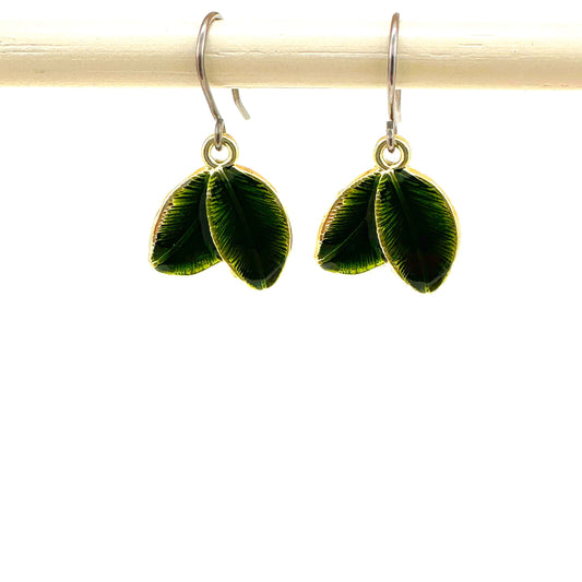 Leaf nature earrings with a titanium hook on a white background