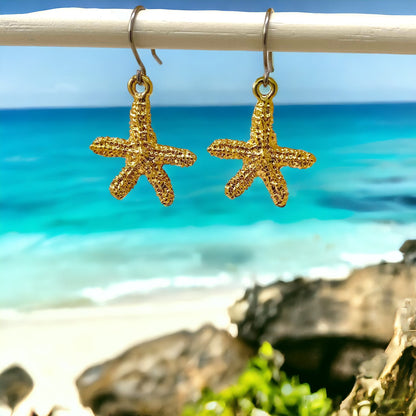 Starfish Charm earrings with a titanium hook on a ocean background