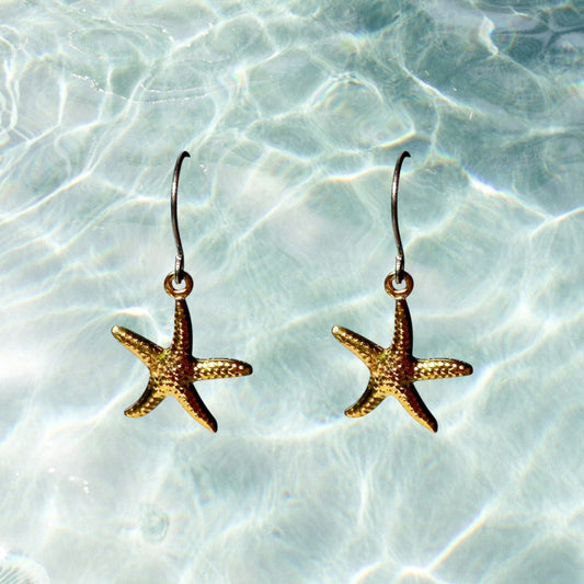 Starfish Charm earrings titanium on a ocean water background