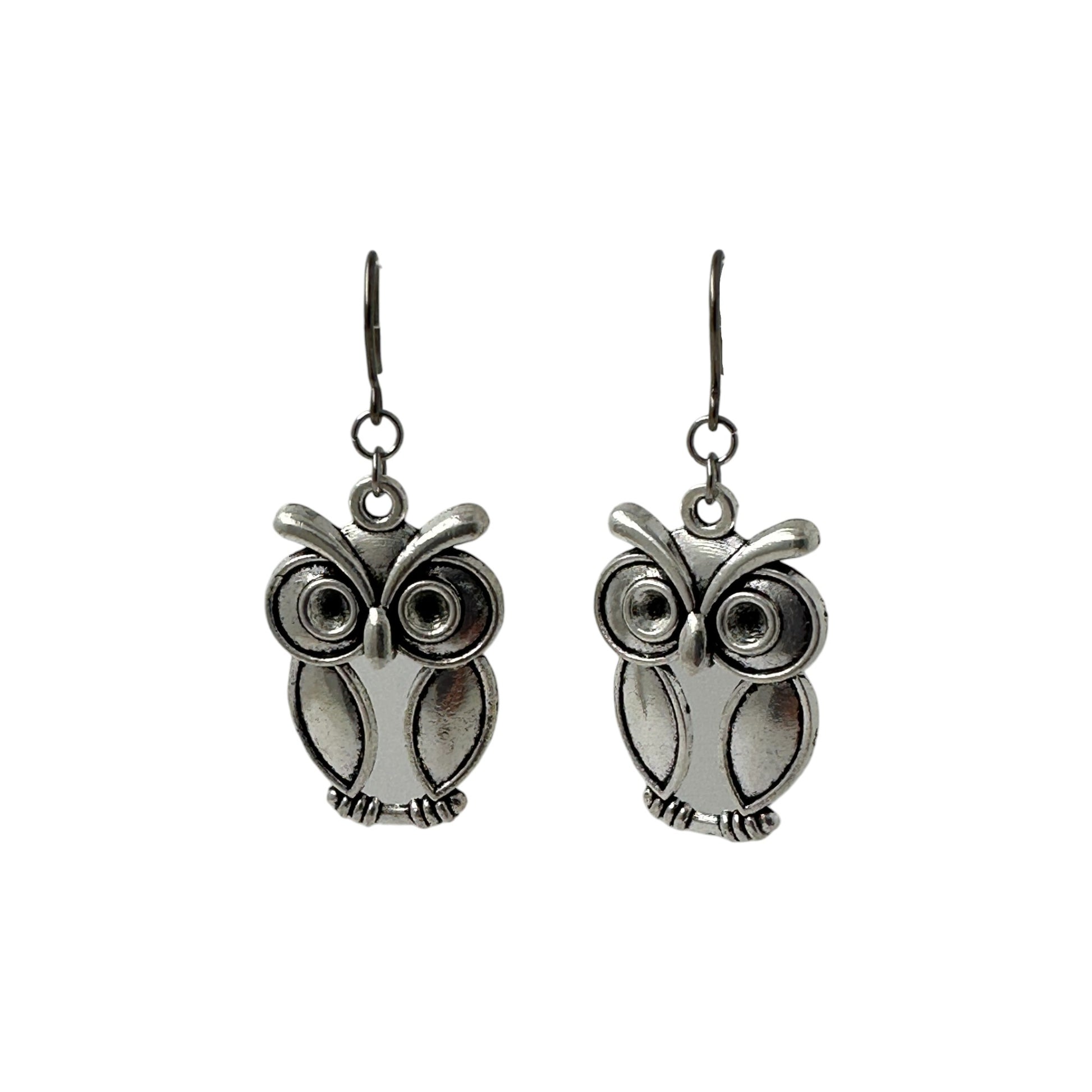 Wise Owl Earrings with titanium hook. on a white background