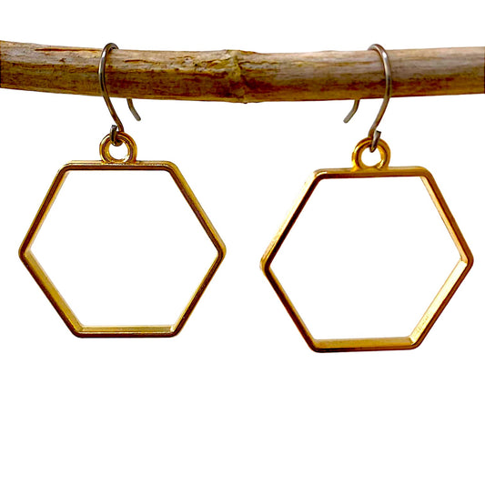 Hexagon hoop polygon drop earrings with a titanium hook on a white background