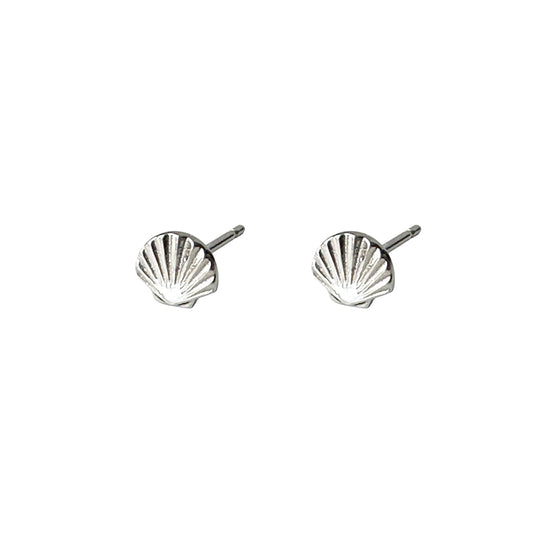 Shell stud earrings. Titanium Studs minimal  shown on a white background